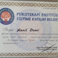 Resmi büyüt: certificate 8