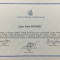 Resmi büyüt: certificate 5