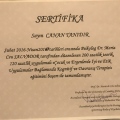 Resmi büyüt: certificate 5