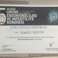 Resmi büyüt: certificate 4