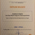 Resmi büyüt: certificate 9