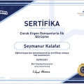Resmi büyüt: certificate 18