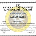 Resmi büyüt: certificate 11