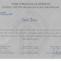 Resmi büyüt: certificate 6