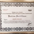 Resmi büyüt: certificate 12