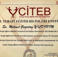 Resmi büyüt: certificate 7