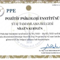 Resmi büyüt: certificate 4