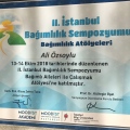 Resmi büyüt: certificate 11