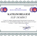 Resmi büyüt: certificate 33