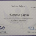 Resmi büyüt: certificate 11