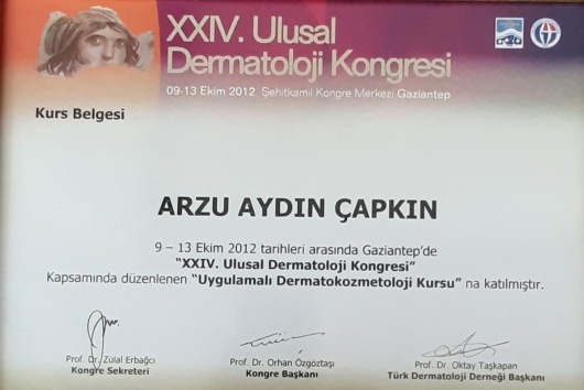 Arzu Aydın Çapkın-4
