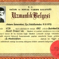 Resmi büyüt: certificate 2
