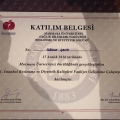 Resmi büyüt: certificate 23