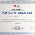 Resmi büyüt: certificate 34