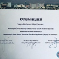 Resmi büyüt: certificate 46