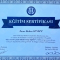 Resmi büyüt: certificate 8