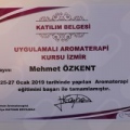 Resmi büyüt: certificate 15