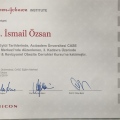 Resmi büyüt: certificate 1