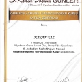 Resmi büyüt: certificate 16