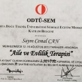 Resmi büyüt: certificate 18