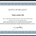 Resmi büyüt: certificate 14