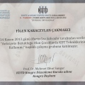Resmi büyüt: certificate 3