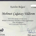 Resmi büyüt: certificate 11