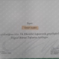 Resmi büyüt: certificate 8