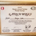 Resmi büyüt: certificate 4