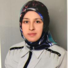 Hülya Özkan, Aile Hekimliği Erzincan