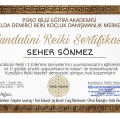 Resmi büyüt: certificate 18