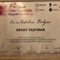 Resmi büyüt: certificate 16