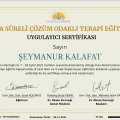 Resmi büyüt: certificate 15