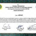 Resmi büyüt: certificate 2