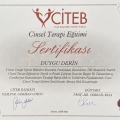 Resmi büyüt: certificate 9