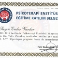 Resmi büyüt: certificate 18