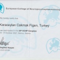 Resmi büyüt: certificate 19