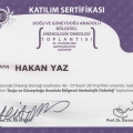 Resmi büyüt: certificate 38