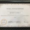 Resmi büyüt: certificate 11