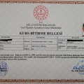 Resmi büyüt: certificate 8