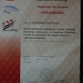 Resmi büyüt: certificate 15