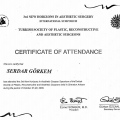 Resmi büyüt: certificate 2