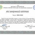 Resmi büyüt: certificate 1