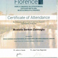 Resmi büyüt: certificate 10