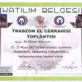 Resmi büyüt: certificate 18