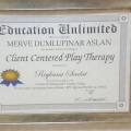 Resmi büyüt: certificate 8