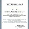 Resmi büyüt: certificate 7
