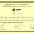 Resmi büyüt: certificate 11