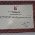 Resmi büyüt: certificate 4