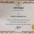 Resmi büyüt: certificate 17